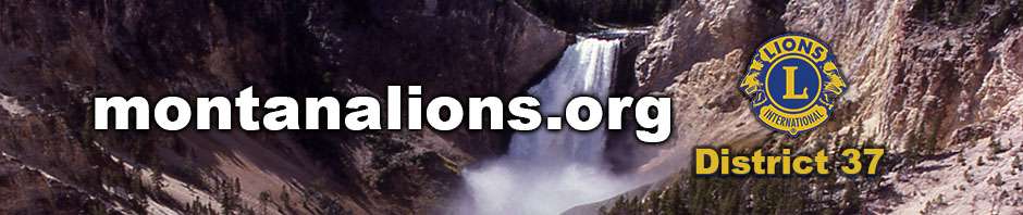 banner image for Lions Club - City Name