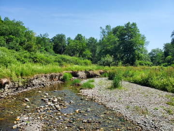 Event Camden Creek Project Support: Aug 12-14