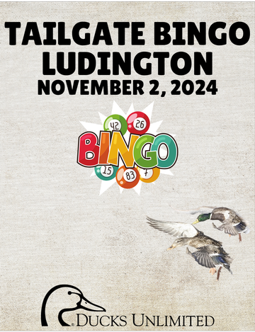 Event Ludington Bingo Night