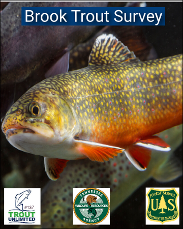 Event Annual Tellico Brook Trout Survey