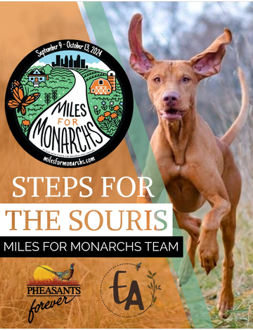 Event Steps for the Souris Team Signup