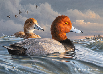 Event USFWS Waterfowl Stamp Contest --- Showcasing Ducks Unlimited