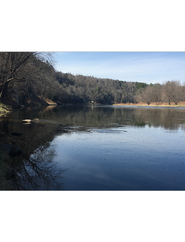 Event "Fly Fishing the Upper Delaware" presented by Dave Hess on October 2nd with ﻿pre-Event Beginner Casting Session