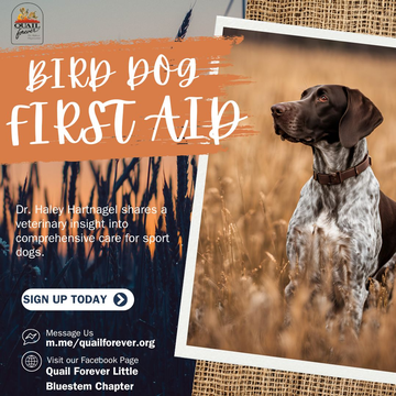 Event Little Bluestem Quail Forever Bird Dog First Aid Class