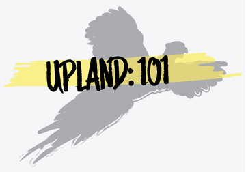 Event Upland: 101 - Grand Forks Scheels