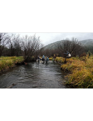 Event Brook Trout Removal