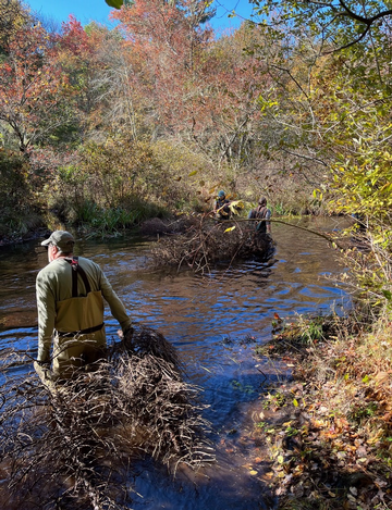 Trees for Trout - Stream Bank Revetment: Thu, Oct 3, 2024