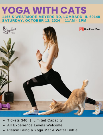 Event STSFF 2024 Fall - Cat Yoga with One River Zen