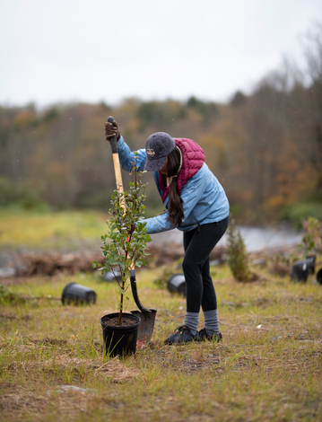 Event Silver Creek Tree Planting - National Public Lands Day Celebration