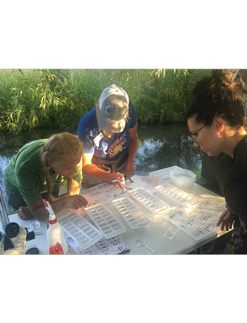 Event St. Vrain Tributaries Macro Invertebrate Sampling