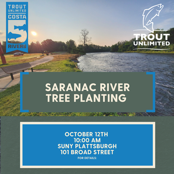 Event Saranac River- SUNY Plattsburgh Tree Planting