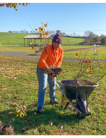 Event Riparian Buffer Restoration (Tree Planting)