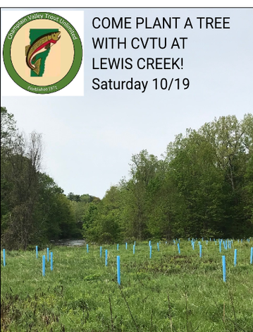 Event Plant a Tree with CVTU on Lewis Creek