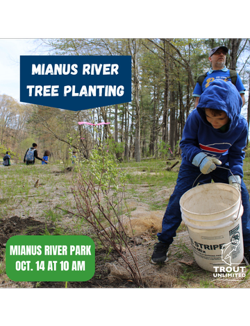 Event Mianus River Tree Planting