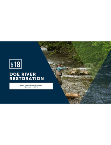 Event Doe River Clean-up