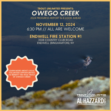 Event Owego Creek - A Year In Review