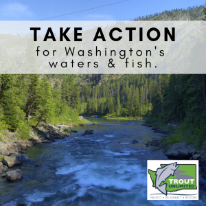 Event Washington Council of Trout Unlimited - Legislative Day 2025