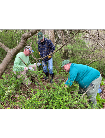 Event Invasive Plant Removal