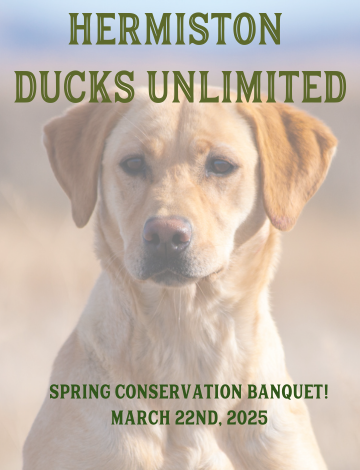 Event Hermiston Ducks Unlimited Banquet