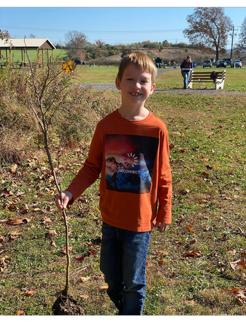 Event Riparian Buffer Maintenance