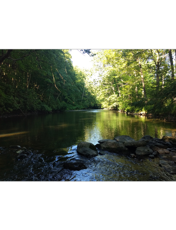 Event Public Meeting: Hike at the Child's Park