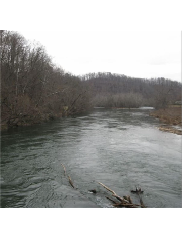 Event Watauga's End Farm Cleanup