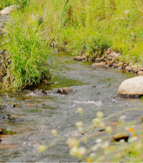 Event GBTU Chapter Gathering at Cambridge Patagonia Store - Learn about our latest Embrace -A-Stream Project