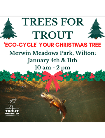 Event Trees for Trout: Wilton