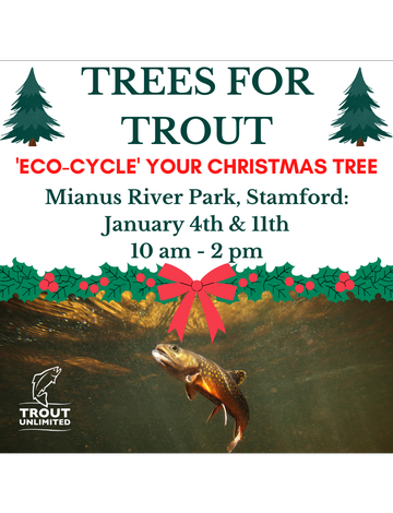 Event Trees for Trout: Stamford