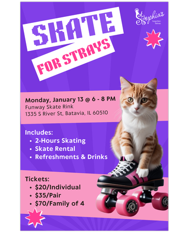 Event Skate for Strays (2024)