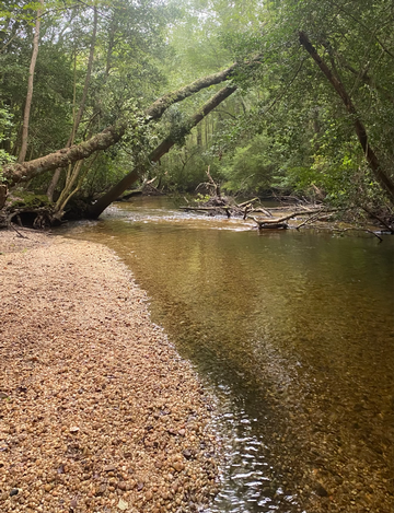 Event Toms River Cleanup