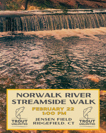 Event Norwalk River Streamside Walk & RIVERS App Training