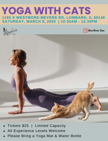 Event STSFF 2025 - Yoga with Cats & One River Zen