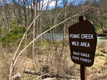 Event Camping on Penns Creek with Stanley Cooper Chapter Trout Unlimited