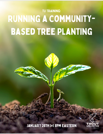 Event Plant for Our Future: Running a Community-Based Tree Planting (January)