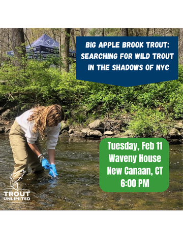 Event February Chapter Gathering: Using Environmental DNA to Find Brook Trout in our Backyards