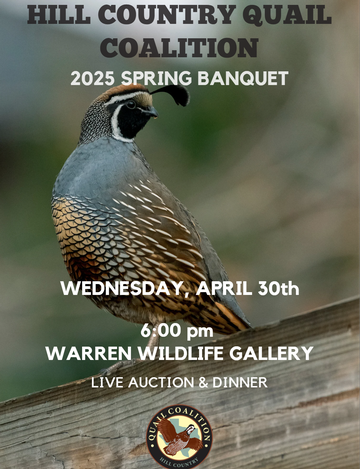 Event 2025 Hill Country Quail Coalition Spring Banquet