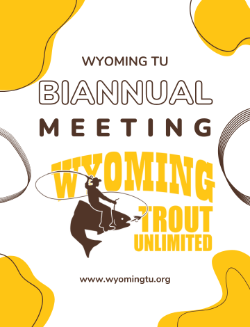 Event WYTU Biannual Meeting 