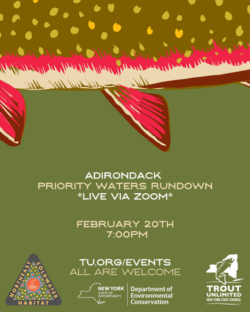 Event (NY) Adirondack Priority Waters Rundown: Live via Zoom