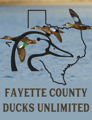 Event  Fayette County Banquet - La Grange