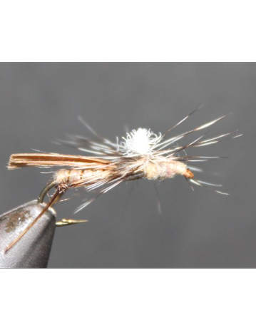 Event Brodhead Fly Tyers