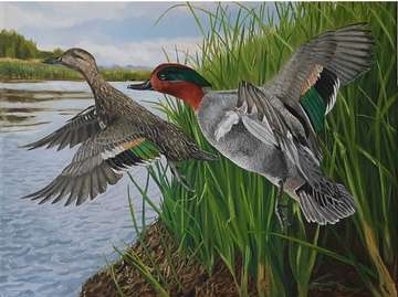 Event Meeker County Ducks Unlimited Fall 2025 Banquet (Litchfield)