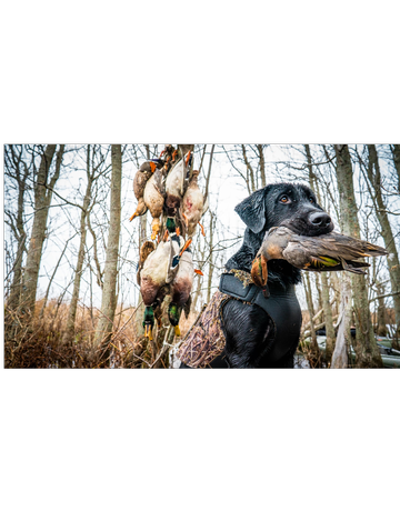 Event Canandaigua Lake Varsity Sportsmans Party