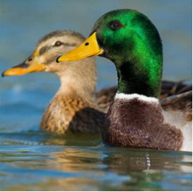 Event  Morgan County Annual Conservation Banquet & Auction
