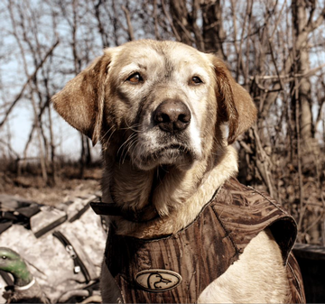 Event Herkimer Banquet