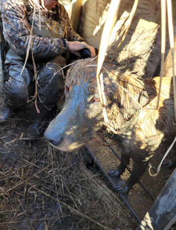 Event Warren County DU Annual Banquet