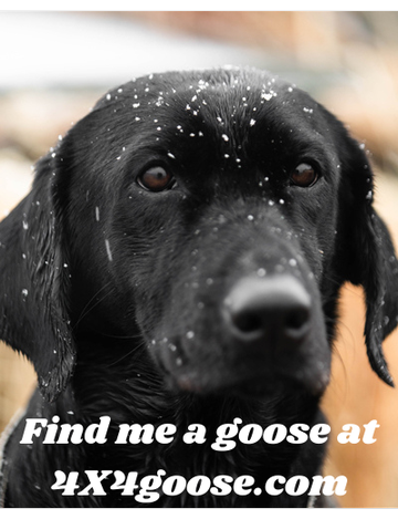 Event 2026 4X4 Goose Shoot