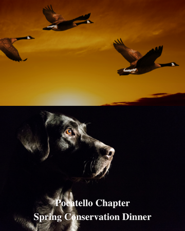 Event Pocatello Conservation Dinner