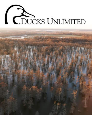 Event 2026 Sarasota Ducks Unlimited Dinner