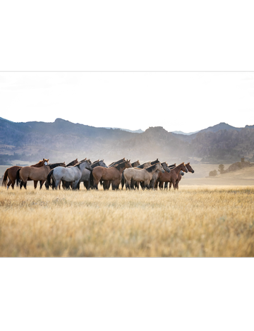 Event Sweetwater Ducks Unlimited Banquet